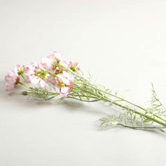 Light Pink Comos Flower Large