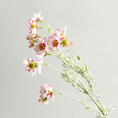Light Pink Comos Flower Large