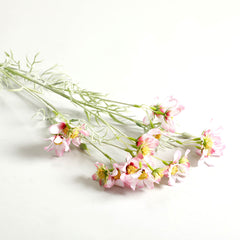Light Pink Comos Flower Large