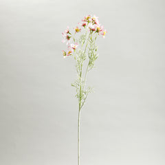Light Pink Comos Flower Large