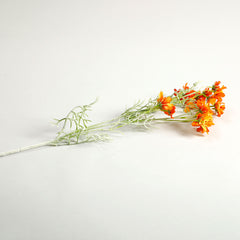 Orange Comos Flower Large