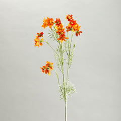 Orange Comos Flower Large