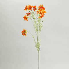 Orange Comos Flower Large