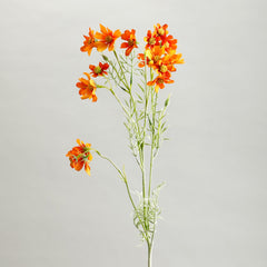 Orange Comos Flower Large