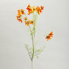 Orange Comos Flower Large