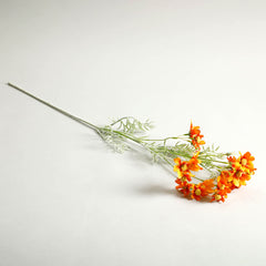Orange Comos Flower Large