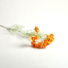 Orange Comos Flower Large