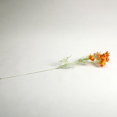 Orange Comos Flower Large