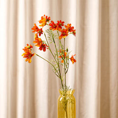 Orange Comos Flower Large