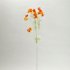 Orange Comos Flower Large