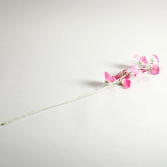 Sweetpea Fuchsia Flowers