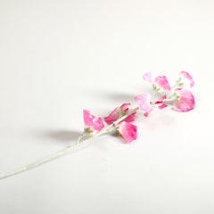 Sweetpea Fuchsia Flowers