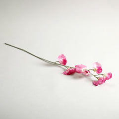 Sweetpea Fuchsia Flowers