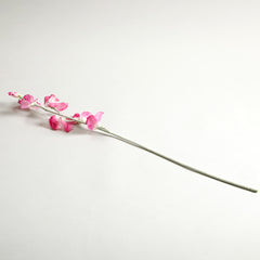 Sweetpea Fuchsia Flowers