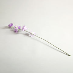 Sweetpea Light Purple Flowers