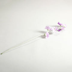 Sweetpea Light Purple Flowers