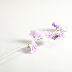 Sweetpea Light Purple Flowers