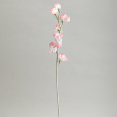 Sweetpea Pink Flowers