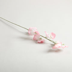 Sweetpea Pink Flowers
