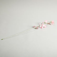 Sweetpea Pink Flowers