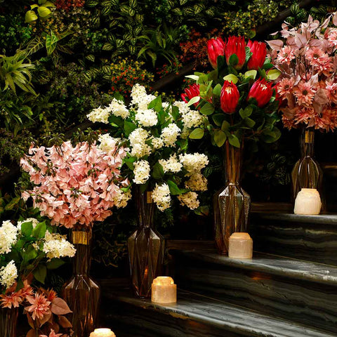 Holand Eucalyptus Leaves Green