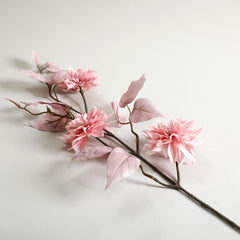Diamond Lotus Pink Flowers