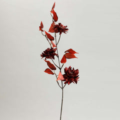 Diamond Lotus Burgundy Flowers