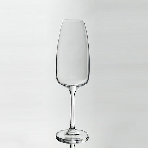 Bohemia Crystal Fascino Champagne Glass set of 6