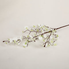 Arise Green White Orchid Flowers