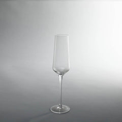 Skylar Champagne Glass Set Of 6