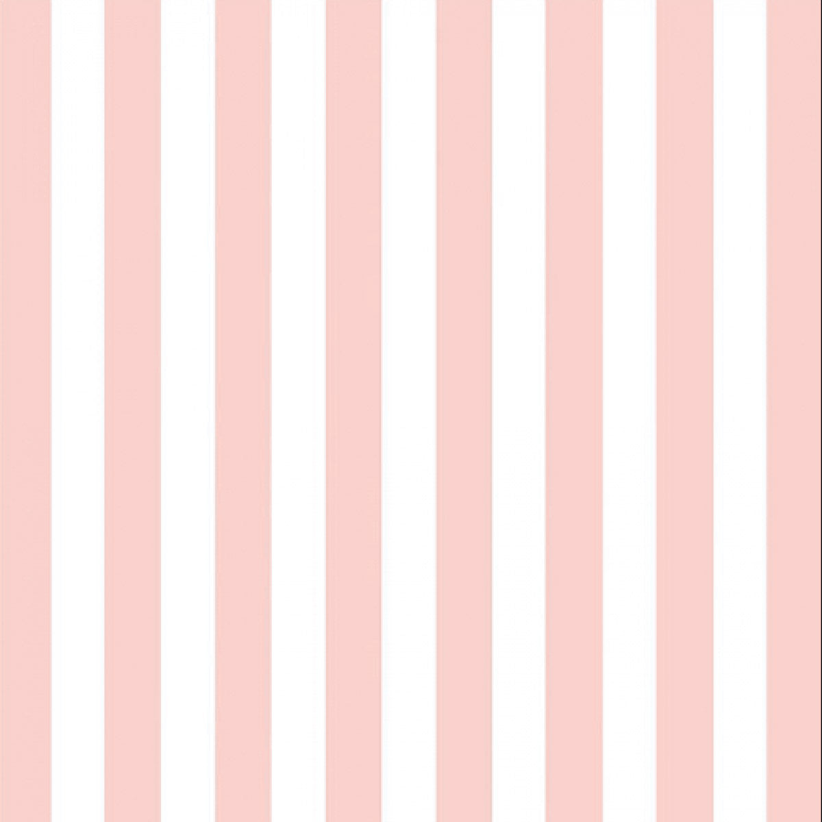 Light Pink Napkins Set of 20