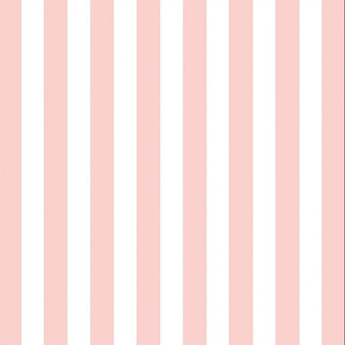 Light Pink Napkins Set of 20