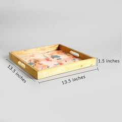 Aydin Large Tray