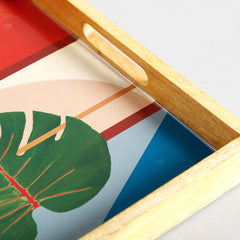 Darwin Large Tray