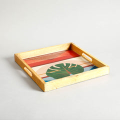 Darwin Large Tray