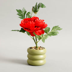 Carmine Potted Plants