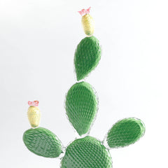 Crystal Cactus Ficus Light Green Décor Object