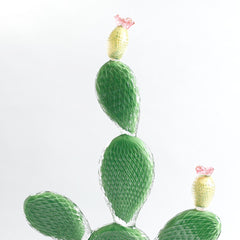 Crystal Cactus Ficus Light Green Décor Object
