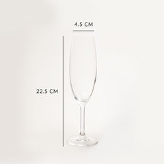 Royale Champagne Glass Set Of 6