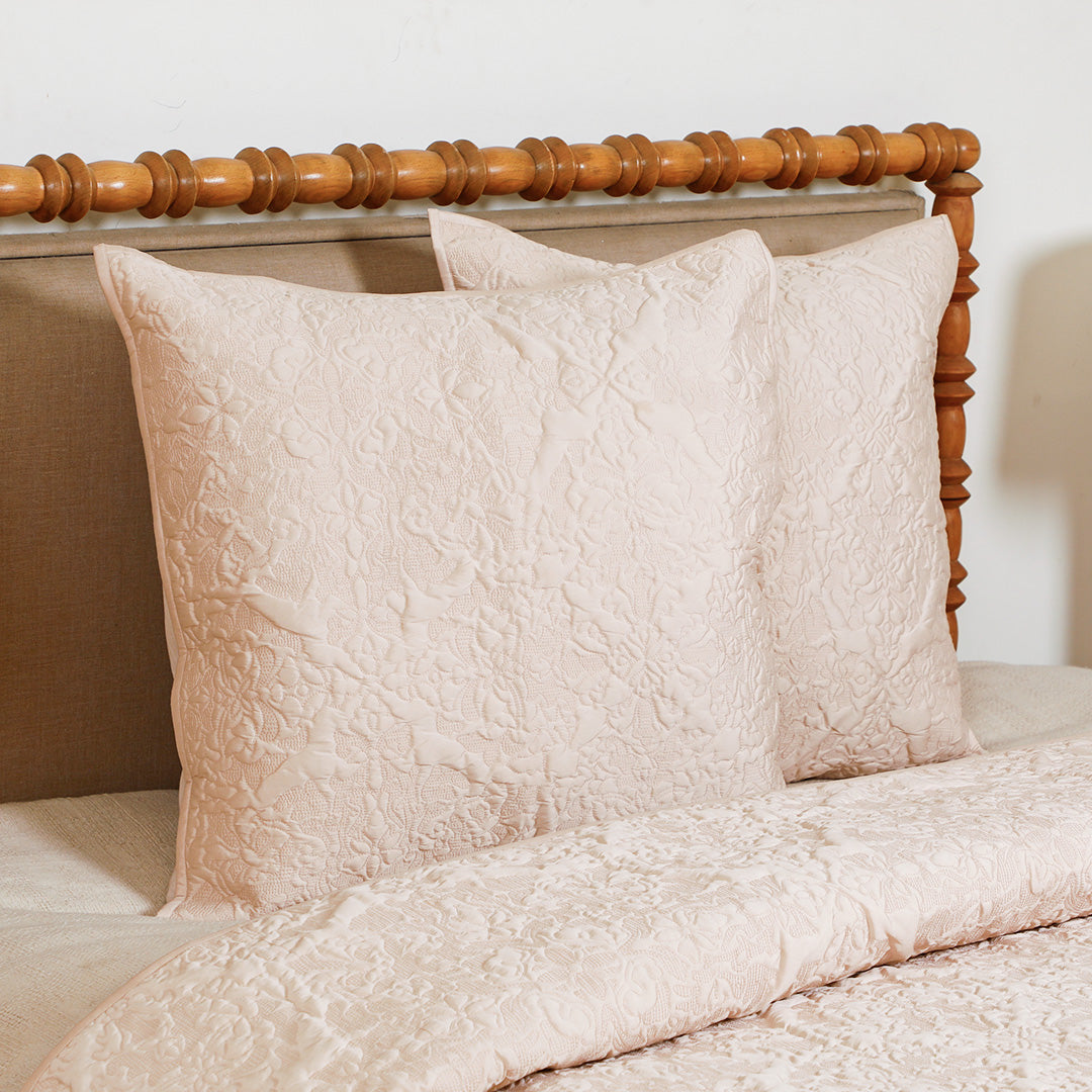Blush Euro Sham S/2