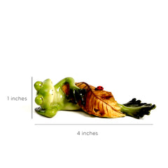 Sleeping Frog