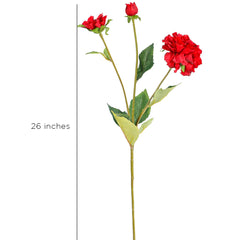 Zinnia Red Flowers