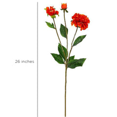 Zinnia Orange Flowers