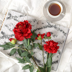 Peony Red Flowers