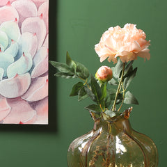 Peony Coral Flowers