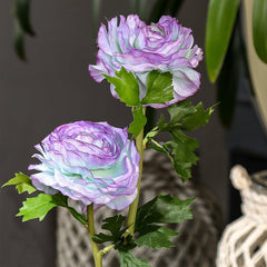 Aconitum Blue Flowers