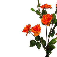 Kyauta Rose Orange Flowers