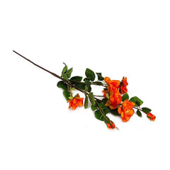 Kyauta Rose Orange Flowers