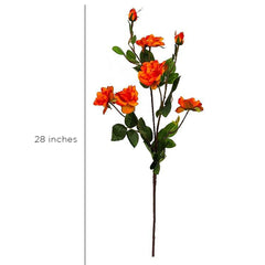 Kyauta Rose Orange Flowers