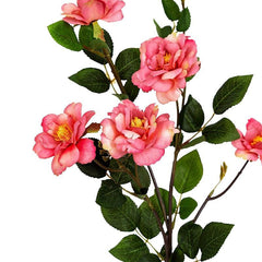 Kyauta Rose Pink Flowers